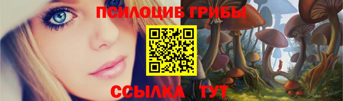 Горячий Ключ  где можно купить наркотик  Вход с VPN  Псилоцибиновые грибы GOLDEN TEACHER 